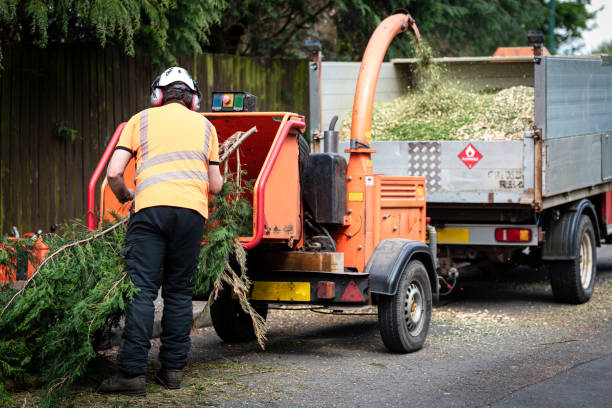 Best Weed Control  in East Norwich, NY